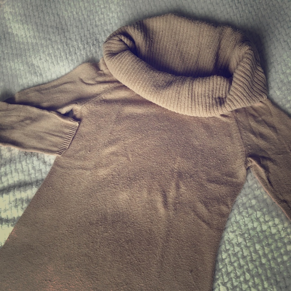 Ann Taylor Big Turtleneck Sweater